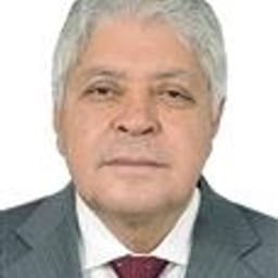 Alcides Rodrigues