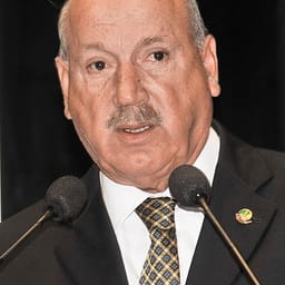 Luiz Henrique da Silveira